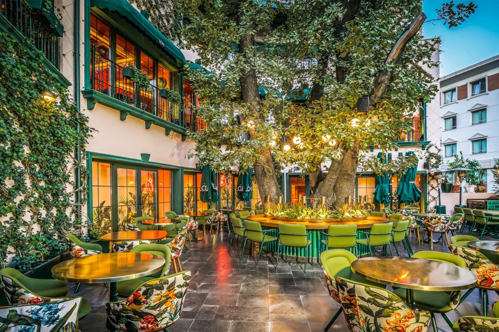 lou cafe bistro