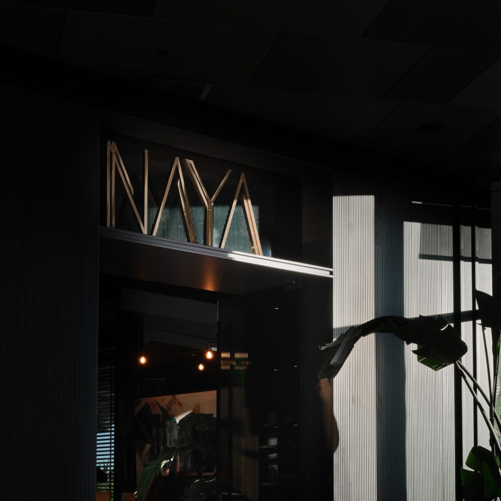 naya dreamland